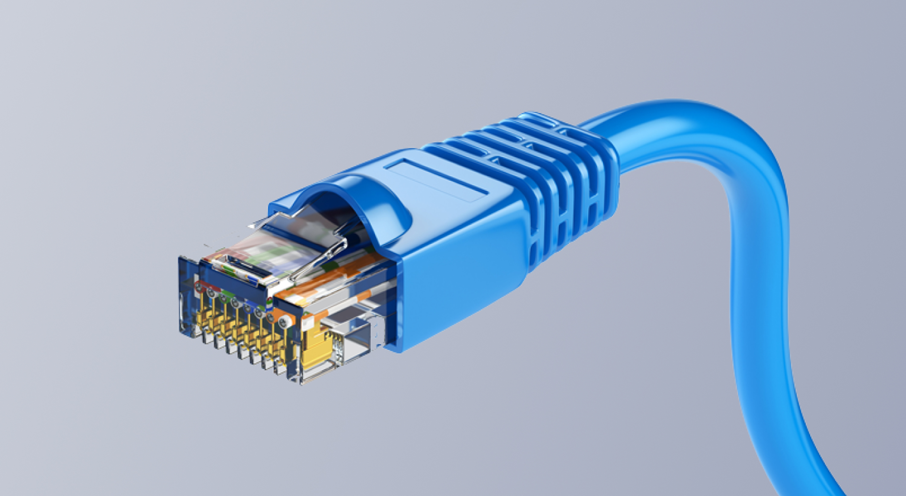Teledynamics: a blue RJ45 ethernet patch cable connector